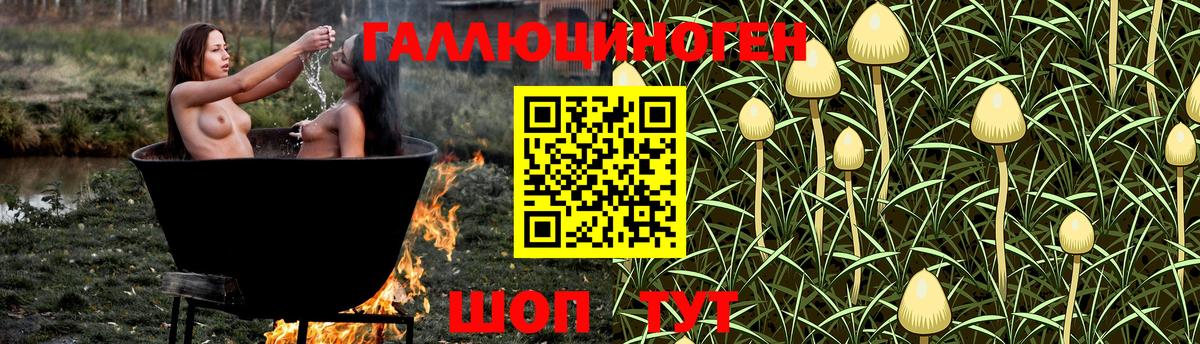 Галлюциногенные грибы ЛСД Магнитогорск