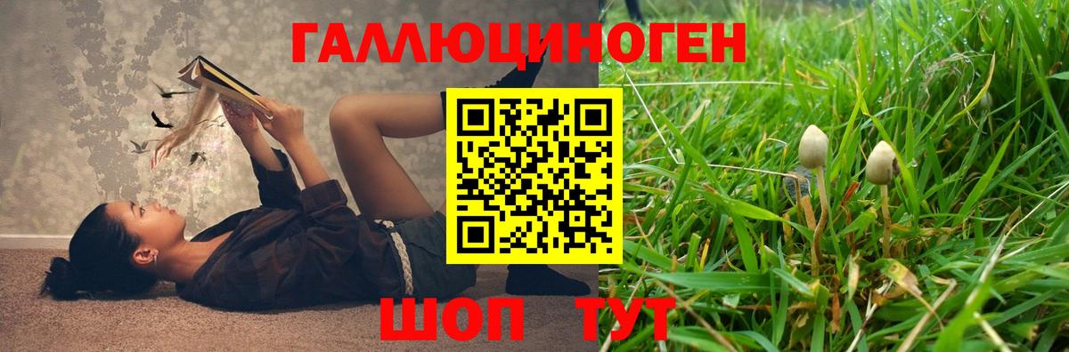 Магнитогорск  купить наркотик  Вход с VPN  Псилоцибиновые грибы мухоморы 